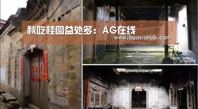 AG在线